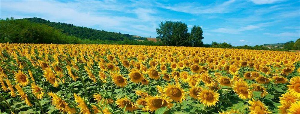Hotel La Tabaccaia Монтайоне Екстериор снимка